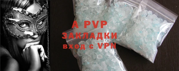 амф Гусев