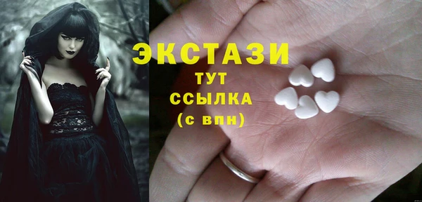 амф Гусев