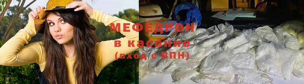 амф Гусев