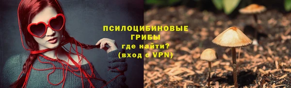 твердый Гусь-Хрустальный