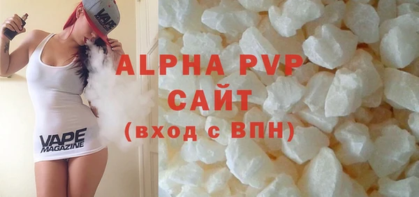 амф Гусев