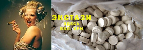 амф Гусев