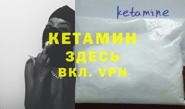 амф Гусев