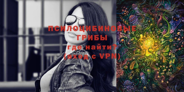 твердый Гусь-Хрустальный