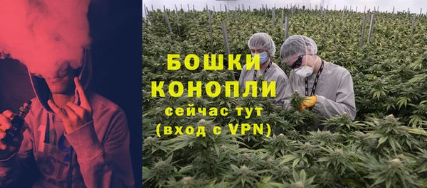 твердый Гусь-Хрустальный