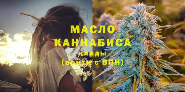 амф Гусев