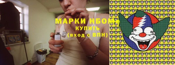 амф Гусев