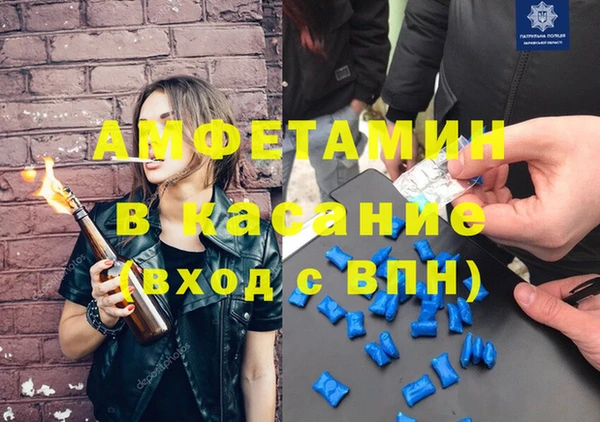 амф Гусев