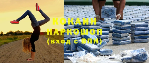 твердый Гусь-Хрустальный