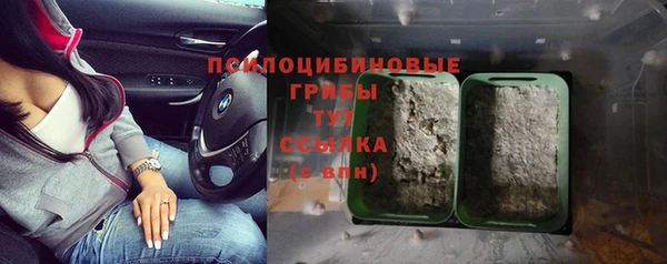твердый Гусь-Хрустальный